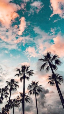Sunset Sky And Aesthetic Image Aesthetic Sunset Wallpaper Iphone 720x1280 Wallpaper Teahub Io We have 78+ amazing background pictures carefully picked by our community. aesthetic sunset wallpaper iphone