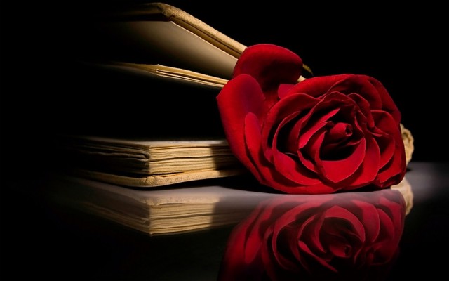 Wallpaper Rose, Books, Texts - Roses And Books Background - 2560x1024