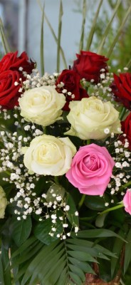 Rosas Rojas En 3d - 800x800 Wallpaper - teahub.io