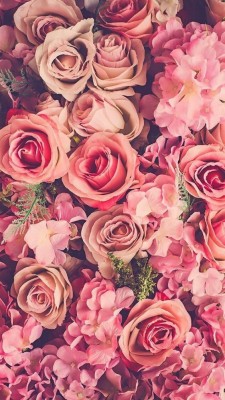 Flower Background For Edits - 564x1001 Wallpaper 