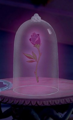 Enchanted Rose Phone Wallpaper - Enchanted Rose - 658x1079 Wallpaper 