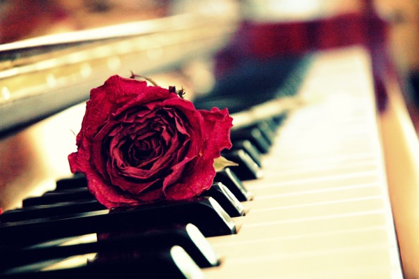 Piano Wallpapers Hd - Piano With A Rose - 2804x1864 Wallpaper - teahub.io