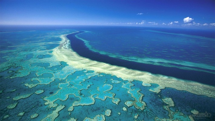 Great Barrier Reef Wallpapers Iphone - Great Barrier Reef Wallpaper Hd ...