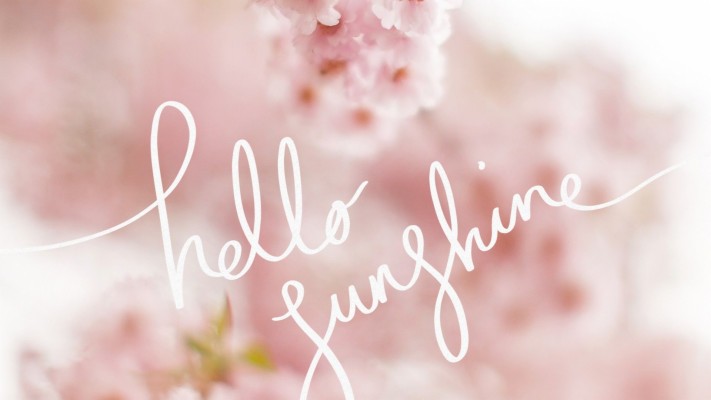 Cute Spring Backgrounds For Desktop 1920x1080 Wallpaper Teahub Io   13 136366 Cute Spring Backgrounds For Desktop 