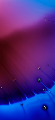 Download Top 10 Wallpapers Wallpapers and Backgrounds - teahub.io