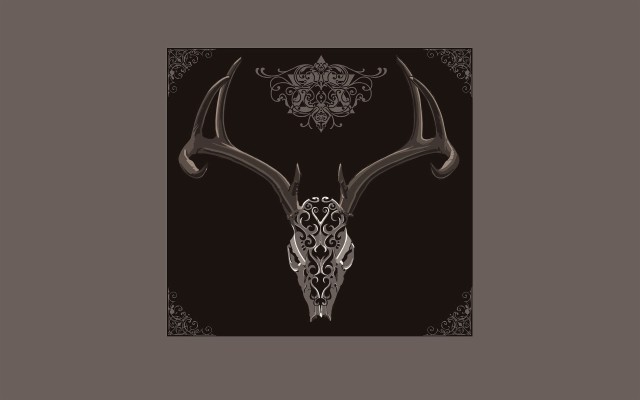 847 Wallpaper Tengkorak Aesthetic Hd Picture - MyWeb