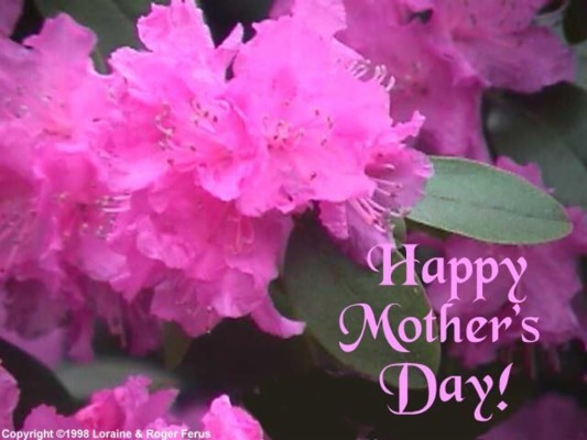 Mother S Day - Christian Happy Mothers Day - 1024x768 Wallpaper 