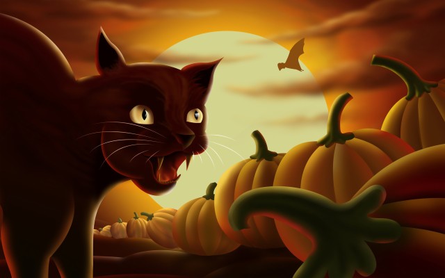 Halloween Black Cat Hd Desktop Wallpapers - Halloween Desktop ...