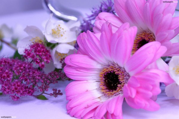 Pink Flower On Table - 1920x1280 Wallpaper - teahub.io