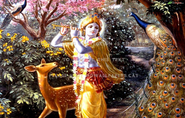 Sri Krishna Leelai Child God Epic Arjuna Hd Wallpaper - Desktop Wallpaper  Lord Krishna - 962x688 Wallpaper 