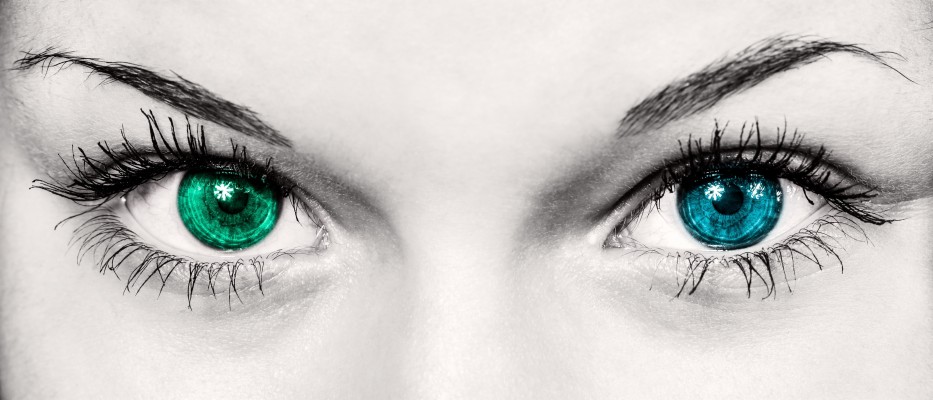 Eyes Staring At You In The Dark - 1600x1200 Wallpaper - teahub.io