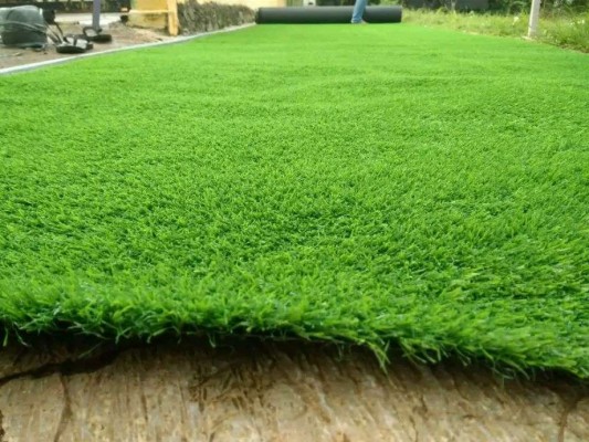 Rumput Sintetis Png - 700x700 Wallpaper - teahub.io