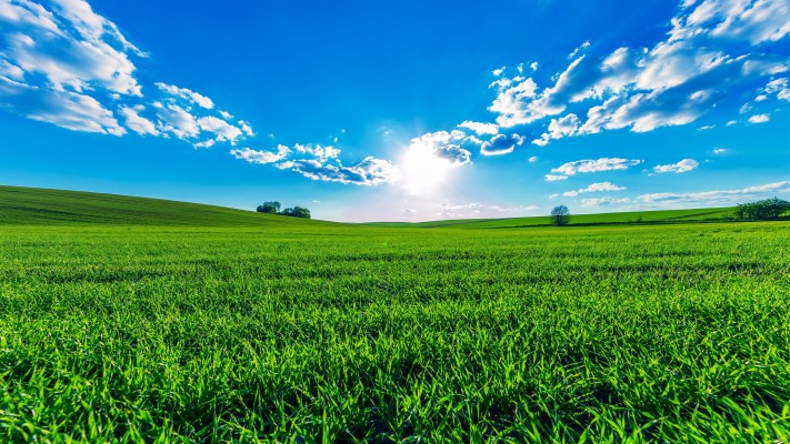 Wallpaper Field, Sky, Grass, Clouds, Green, Summer - Green Field ...