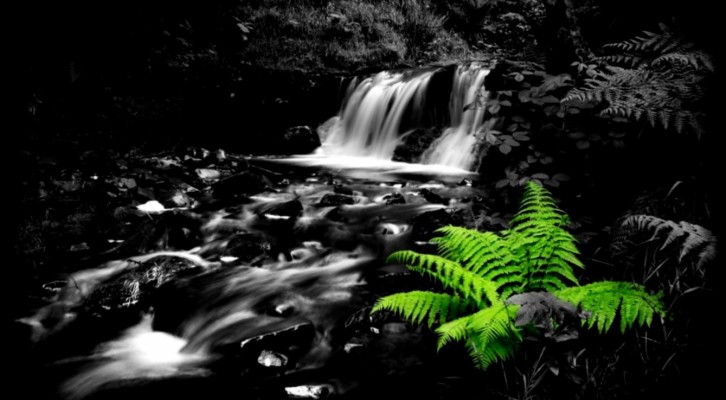 Other Beautiful White Water Green Black Full Hd 1080p - 1080p Black Nature  Wallpaper Hd - 1339x769 Wallpaper 