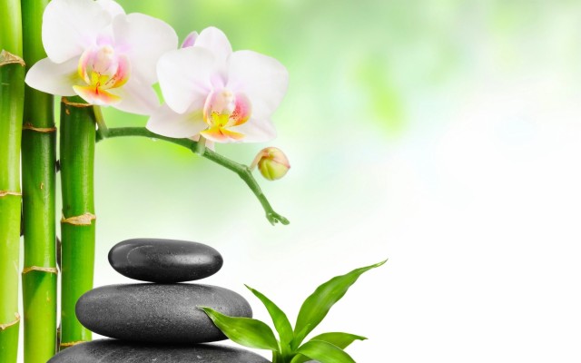 Spa Stones Bamboo Pink Flower Wallpapers Hd For Desktop - Today Special ...