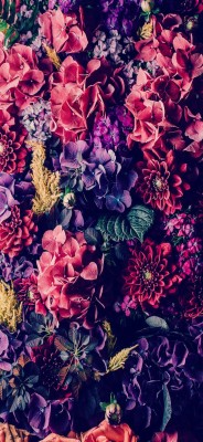 Floral Background Iphone Wallpaper - Floral Wallpaper For Phone Hd ...