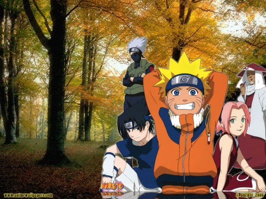 Naruto English Video - 1024x768 Wallpaper 