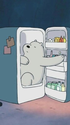 Polar Bear In Fridge - 640x1136 Wallpaper - teahub.io
