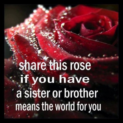 sisters-and-brothers-hd-1920x1370-wallpaper-teahub-io