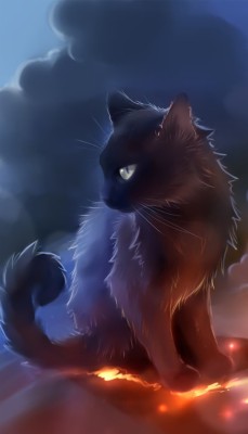 Warrior Cats Iphone Background - 640x960 Wallpaper - teahub.io