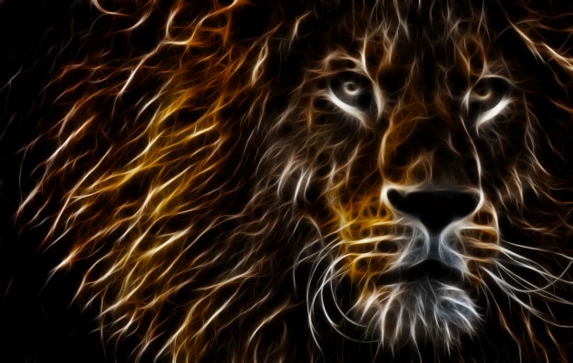 Colorful Lion Hd - 3840x2160 Wallpaper - teahub.io