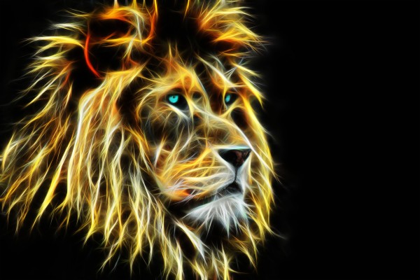 Lion, Muzzle, Background, 3d - Lion Quotes Success - 6000x4000 Wallpaper - Lion, Muzzle, Background, 3d - Lion Quotes Success - 6000x4000 Wallpaper -