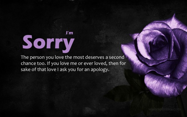 Download Sorry Wallpapers and Backgrounds 