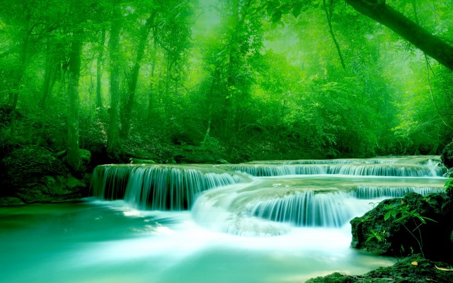 Beautiful Wallpapers Greenery - 2560x1600 Wallpaper 