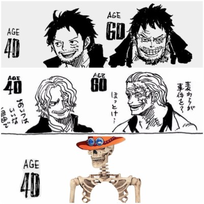 Monkey D Luffy Age 40