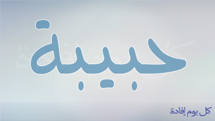 Habiba Name Wallpaper - Shahadat Imam Ali - 679x915 Wallpaper 