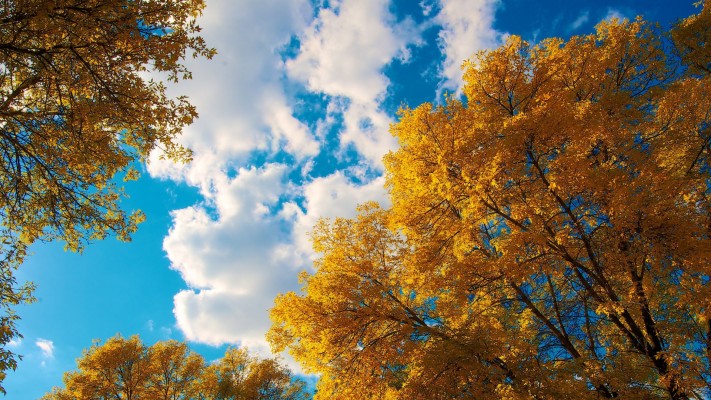 Download Free Download For Pc Wallpapers and Backgrounds Download Free Download For Pc Wallpapers and Backgrounds