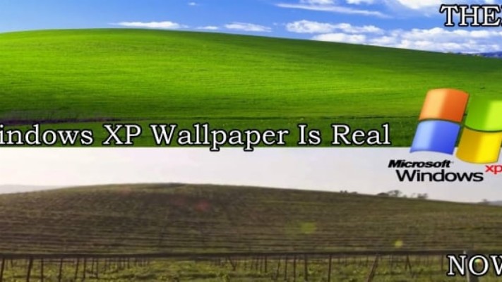 windows xp background real life