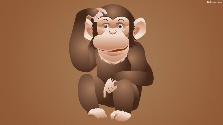 Download Monkey Wallpapers and Backgrounds 