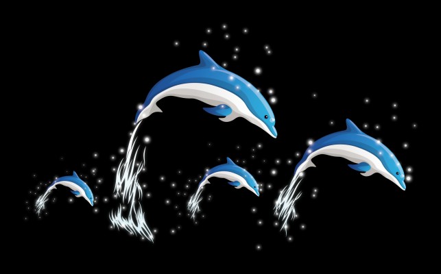 Dolphin Background - 1366x853 Wallpaper 