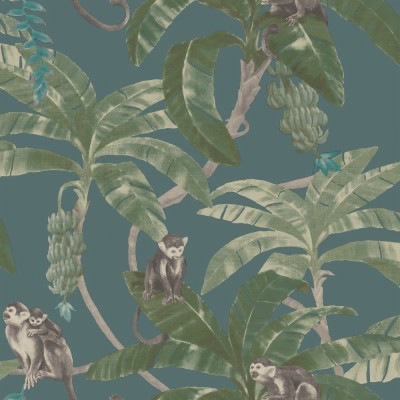 Download Monkey Wallpapers and Backgrounds - teahub.io
