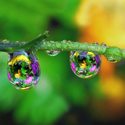 Awesome Water Drop Free Wallpaper Id - Nature Water Drop Wallpapers Hd ...