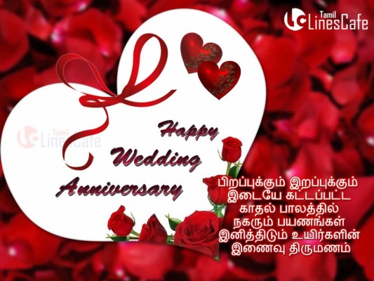 Happy Wedding Anniversary Wishes Images Download 1920x1200 Wallpaper Teahub Io