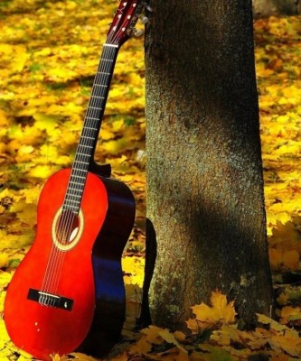 Guitar And Tree Background - 640x768 Wallpaper 