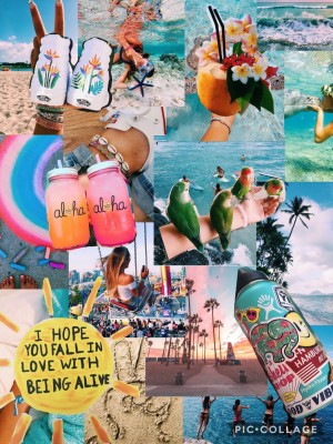 Beach Wallpaper Collage - 1350x1800 Wallpaper - teahub.io