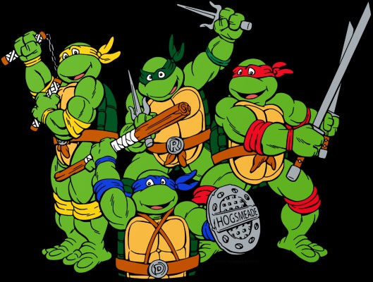 Pop Culture - Ninja Turtles Transparent - 1500x1134 Wallpaper - teahub.io