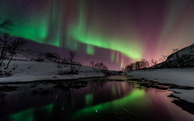 Northern Lights Finland Snow - 2560x1440 Wallpaper - teahub.io