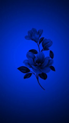 Download Blue Wallpapers And Backgrounds Teahub Io