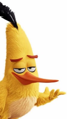 The Angry Birds Movie 2 Hd Wallpaper - Angry Birds Gif - 1920x1080 ...