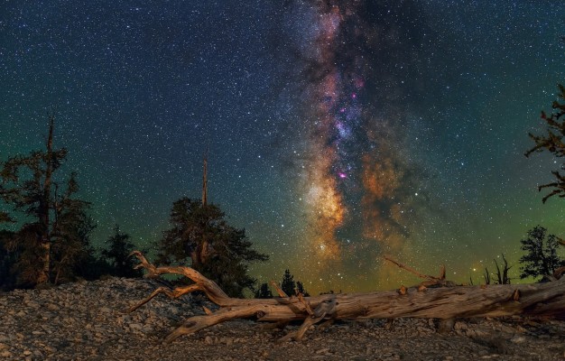 Photo Wallpaper Night, Log, The Milky Way - Milky Way - 1332x850 ...