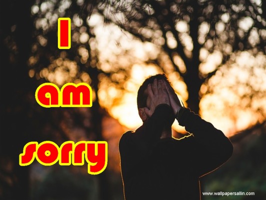 I Am Sorry Pics Missyou Images I Am Sorry Quotes - New Year Messages For  Lover - 1024x768 Wallpaper 