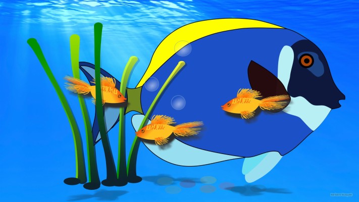 Colorful Fish Wallpaper - Illustration - 2560x1440 Wallpaper - teahub.io