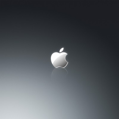 Bravo Whiskey Apple Logo In Grey Ipad Wallpaper - Hd Wallpapers For 7 ...