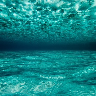 Wallpaper Ocean, Water, Underwater, Maldives - Ocean Biodiversity ...