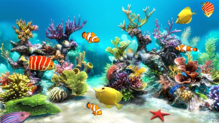 Wiki Fish Tank Wallpapers Hd Pic Data Src - Fish Tank Background Poster ...