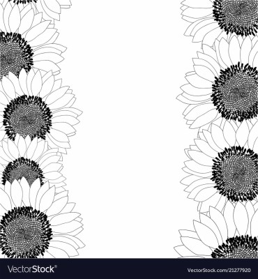 Sunflower Border Design Black And White - 1000x1080 Wallpaper - teahub.io